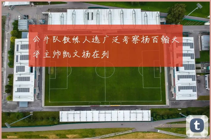 公牛队教练人选广泛考察杨百翰大学主帅凯文杨在列